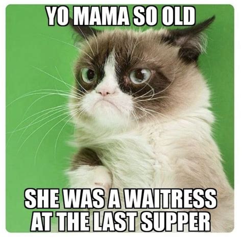 Yo Mama So Old In 2021 Funny Grumpy Cat Memes Grumpy Cat Humor