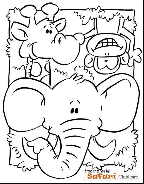 Jungle Animals Coloring Pages Preschool At Free