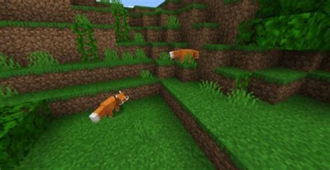 What does a fox eat? What Do Foxes Eat in Minecraft | Riot Valorant Guide