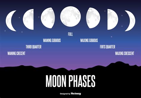 Moon Phase Illustration 106967 Download Free Vectors Clipart