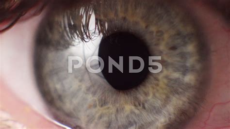 Eye close up. Macro shooting Stock Footage #AD ,#Macro#close#Eye#Footage | Eye close up, Close 