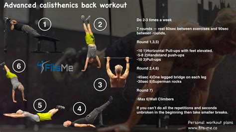 calisthenics back workout youtube