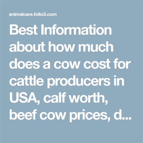 By the way, in the trade, steers aren't called cows. Best Information about how much does a cow cost for cattle ...