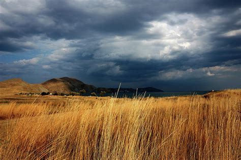 Dry Steppe Photograph By Yuri Hope Fine Art America