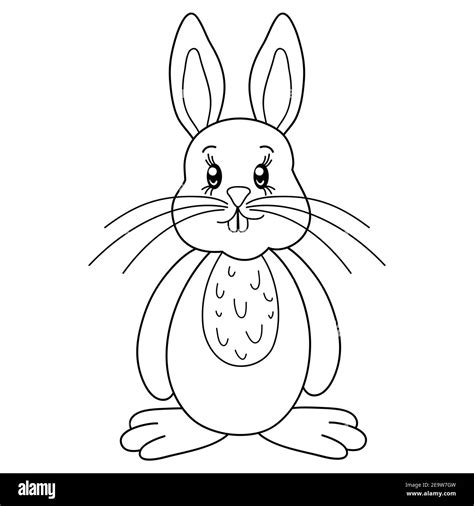 Una Bonita Imagen De Conejo De Dibujos Animados Para La Actividad Relajanteilustración De