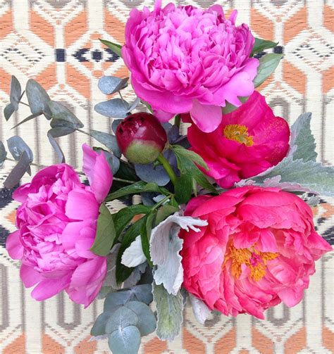How To Arrange Peonies—and How To Care For Them Stylecaster