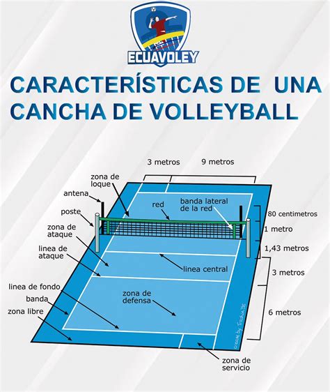 Top 120 Imagenes De La Cancha De Voleibol Con Sus Medidas