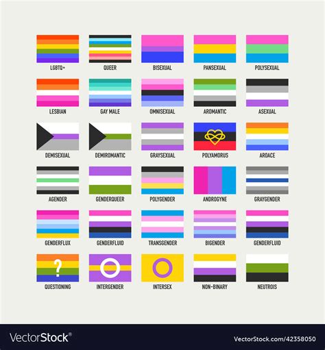 Collection Of Pride Flags Sexual Gender Identity Vector Image