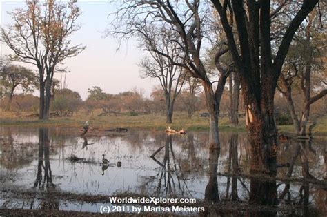 This Is One Of Many Watering Holes In Moremi National Park Many Birds