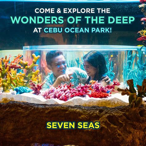 Cebu Ocean Park Dive Into The Ultimate Adventure At Cebu