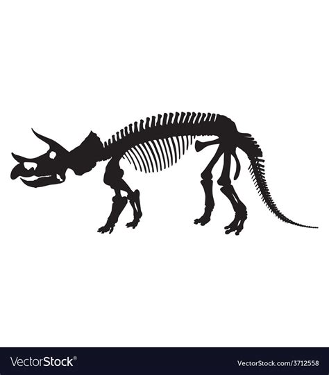 Dinosaur Skeleton Stock Vector Illustration Of Silhou