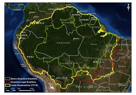 Hacia La Cumbre Amaz Nica Encuentro Petro Lula Y Ministros De Ambiente Del Bioma Amaz Nico