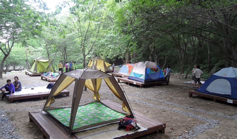 Vehicles, tents, and camping equipment are … Fun & Free Daegu Travel: Tour Camping Areas in Mt. Palgong