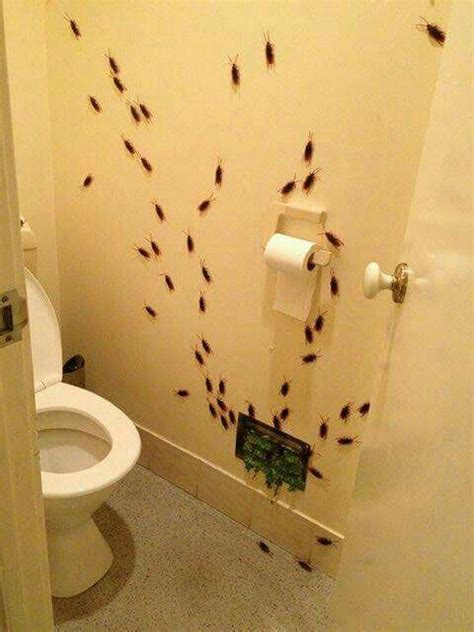 Extremely Creative Bathroom Prank At Home You Must Try Halloween