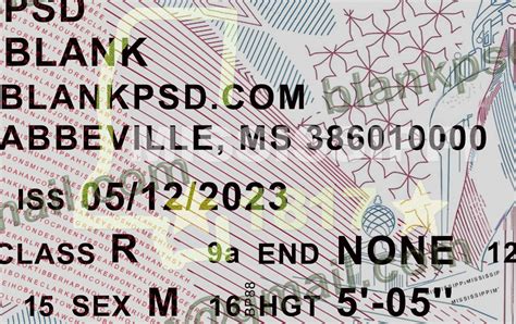 Mississippi Drivers License Template New V2 Blank Psd