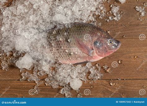 Fresh Nile Tilapia Mango Fish Nilotica Fish On Ice And Wooden Ba Stock