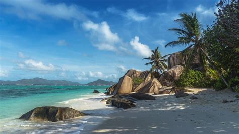 Photography Nature Landscape Beach Sand Palm Trees Rocks Tropical