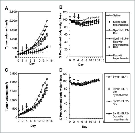 Hyperthermia Enhances The Antitumor Activity Of Synb1elp1 Dox