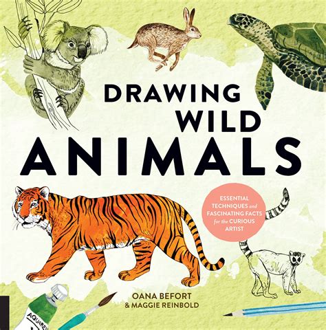 Drawing Wild Animals Essential Techniques And Fascinating Facts For