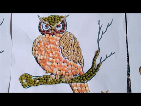 Cara Membuat Kolase Dari Biji Bijian Gambar Burung Hantu Gambar Kolase