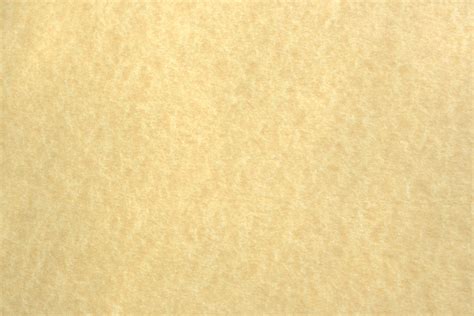 Light Colored Parchment Paper Texture Picture Free Photograph Photos Public Domain