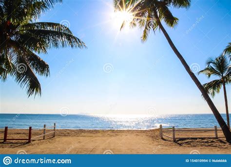 View Of Sunny Day Tropical Beach With Palm Trees And Fence