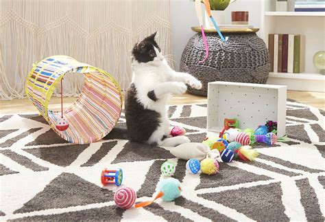 10 Best Interactive Cat Toys In 2023 Reviews And Top Picks Pet Keen