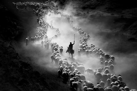 10 Award Winning Photos Of International Movement Photography Contest