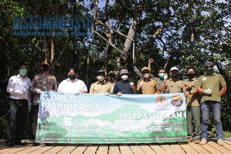 Peringatan Hari Keanekaragaman Hayati Internasional 2021 Di Mangrove