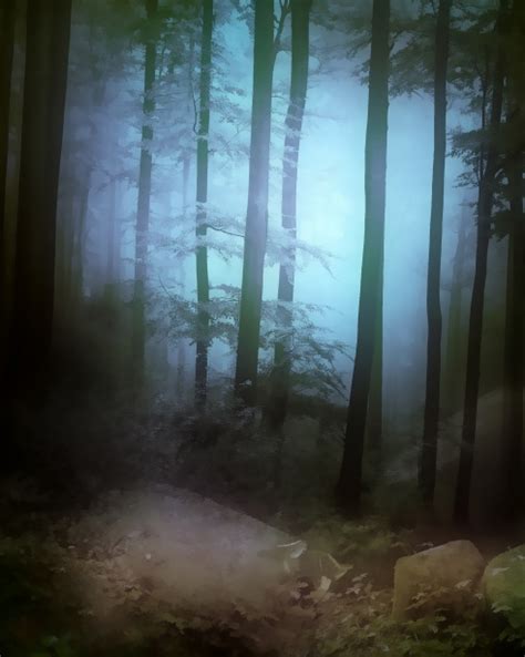 Forest Fantasy 11 Free Stock Photo Public Domain Pictures