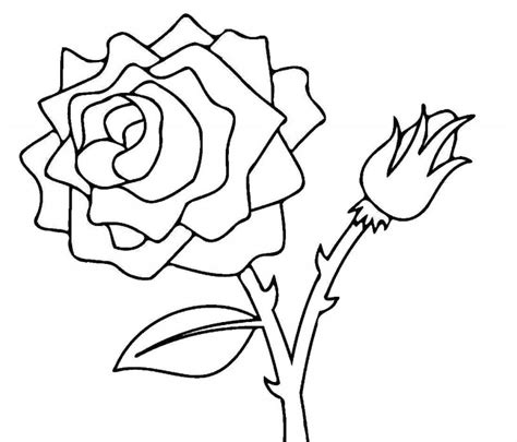 Desene Cu Trandafiri De Colorat Imagini și Planșe De