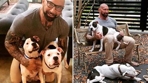 Marvel Actor Dave Bautista Adopts Neglected Puppy From Tampa Shelter