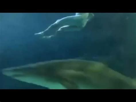 Naked Man Jumps In To Swim With Sharks At Ripley S Aquarium YouTube