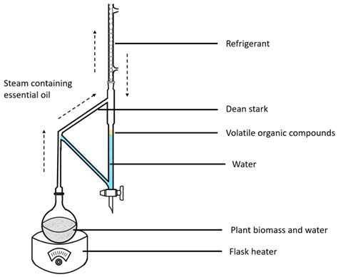 Clevenger Apparatus Essential Oil Extraction