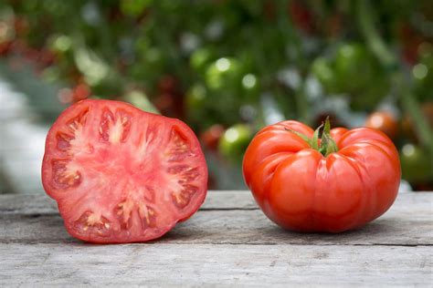 Buy Best Beefsteak Tomato Plant Varieties Arad Branding