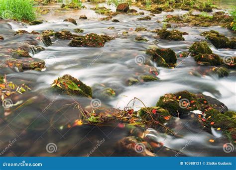 Rocks Covered With Moss And River Stream Stock Image Image Of Stream