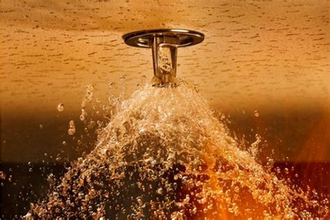 Maybe you would like to learn more about one of these? Automatic Fire Sprinkler system is a Wise Decision to Make ...
