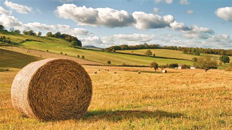Farmland And Forestry Hit Record Highs