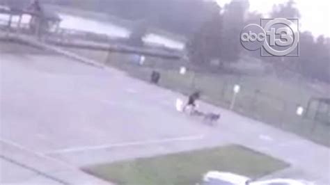 Surveillance Video Shows Man Struck By Lightning Gma