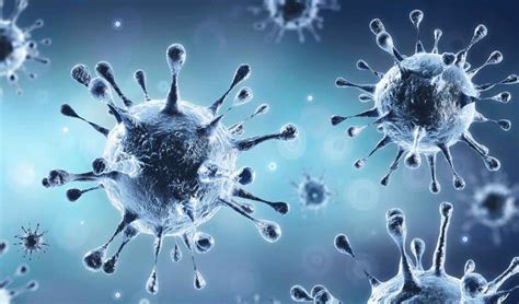 And it is also being found in one in three confirmed cases in chile. bad new! WHO says, 'Indian variant of corona spread across ...