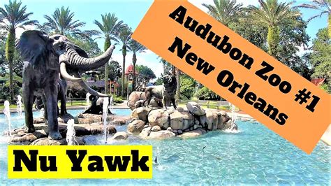 New Orleans video tour Audubon Zoo #1 - YouTube