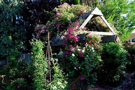 Vintage Rose Garden Garden Diy Garden Vintage Roses