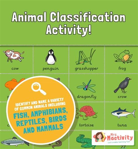 Animal Classification Activity Mrs Mactivity