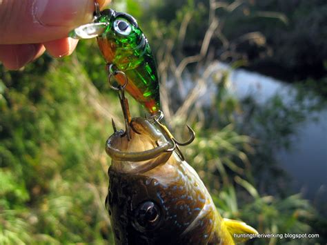Top Micro Ultralite Fishing Lures Hunting The River King