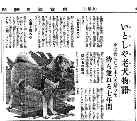 Loyal Hachiko Continues To Win Hearts 100 Years After Birth The Asahi