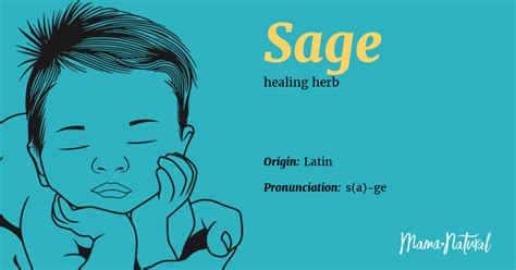 Sage Name Meaning Origin Popularity Boy Names Like Sage Mama Natural