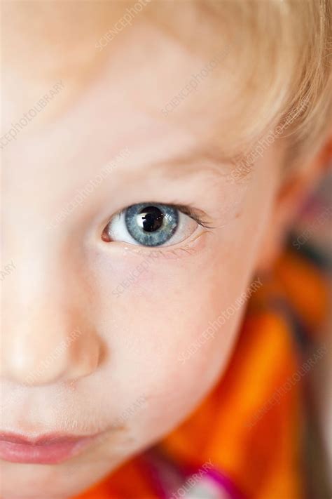 Close Up Of Boys Eye Stock Image C0313314 Science Photo Library
