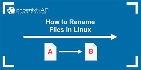 Rename Files Linux Bash