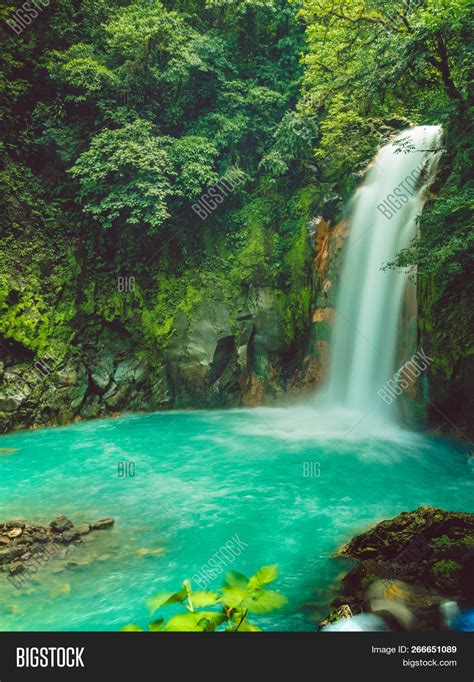 Rainforest Waterfall By Mlorenzphotography Ubicaciondepersonascdmx