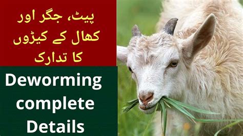 Deworming What Is Deworming Types Of Deworming Deworming